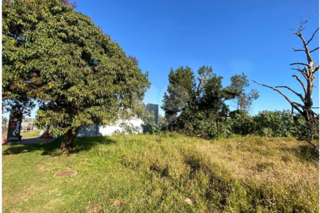Terreno à venda em Vila Alegrete, Ponta Porã, MS