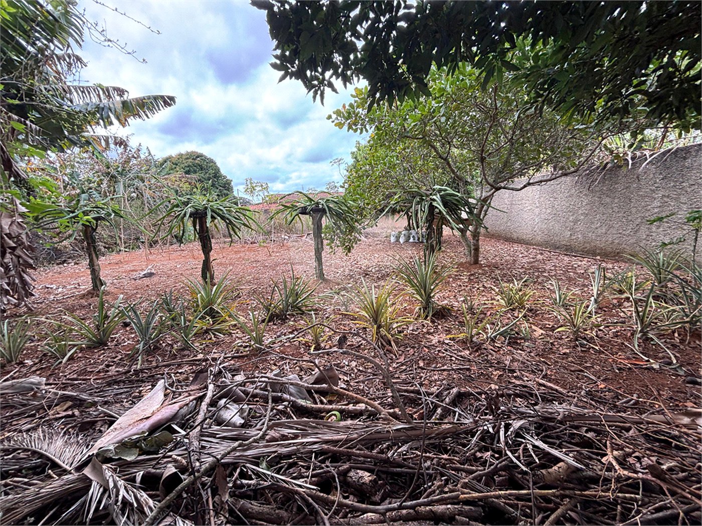 Chácara à venda com 3 quartos em Vila Sottemo, Itapetininga, SP