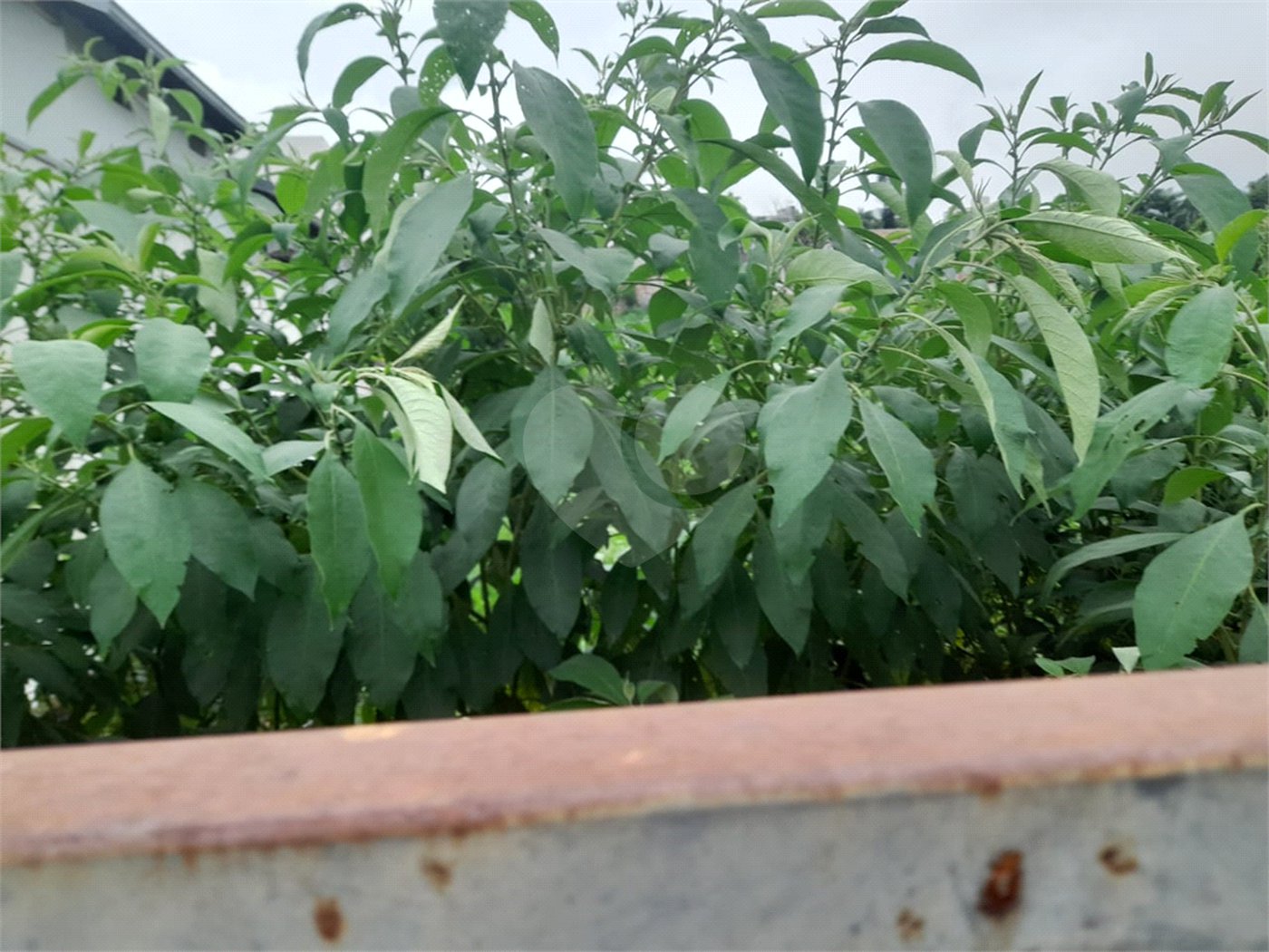 Terreno à Venda no Bairro Nobre Parque Santa Mônica