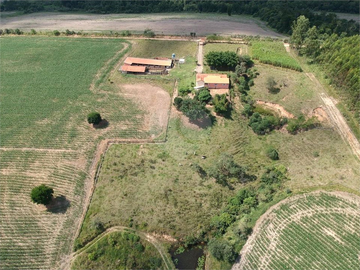 Sítio à venda com 3 quartos em Área Rural de São Miguel Arcanjo, São Miguel Arcanjo, SP