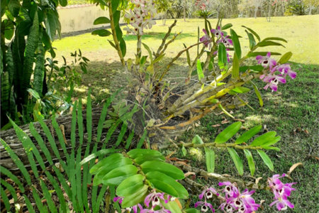 Terreno à venda no condomínio Village de Atibaia, Atibaia - SP