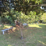 Chácara à venda com 4 quartos, sendo 3 suítes,  em Vila Recreio, Itapetininga, SP