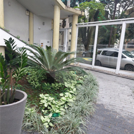 Apartamento à venda com 3 quartos, sendo 1 suíte, em Vila Monumento, São Paulo, SP