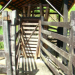 Fazenda à venda com 7 quartos, sendo 3 suítes, em Professor Souza, Casimiro de Abreu, RJ
