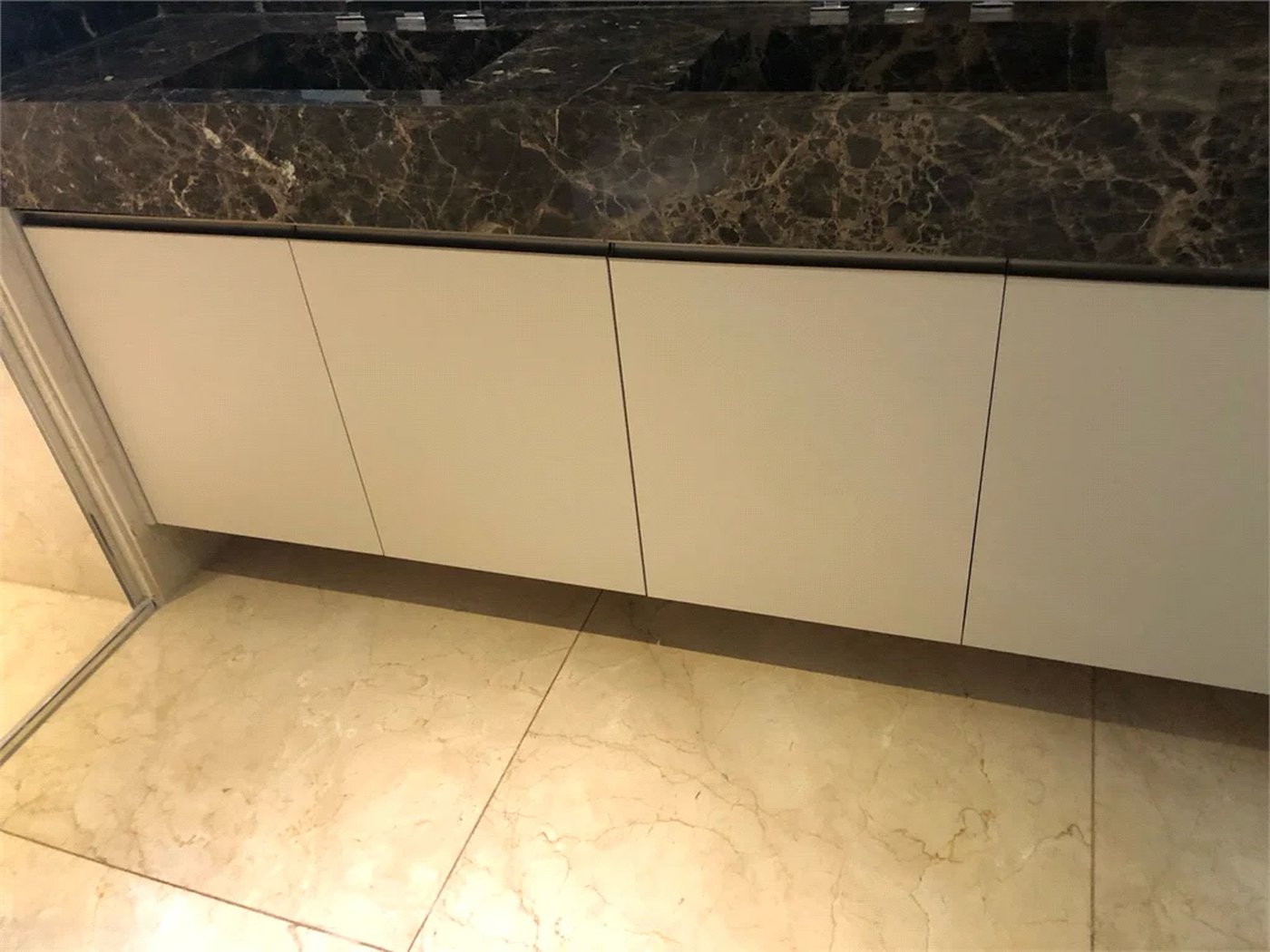 Apartamento à venda com 4 suítes em Vila Suzana, São Paulo, SP