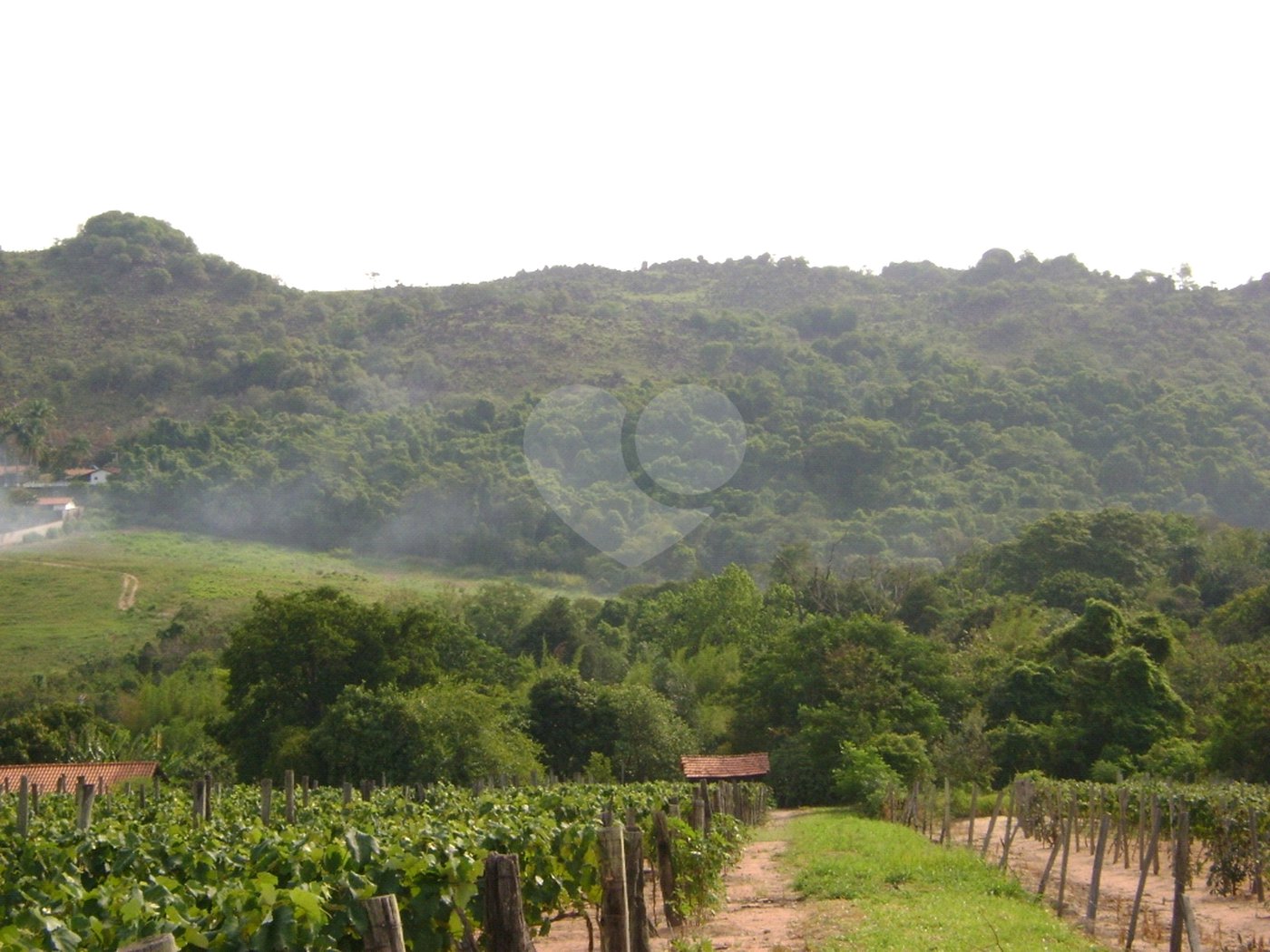 Área de Terra à venda em Colinas do Mosteiro de Itaici, Indaiatuba, SP