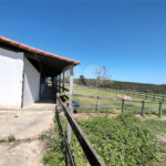 Fazenda para alugar com 3 quartos em Vila Santana, Itapetininga, SP