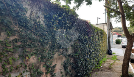Terreno à venda em Chácara Monte Alegre, São Paulo, SP