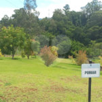 Terreno à venda em Residencial Jatobás, Louveira, SP