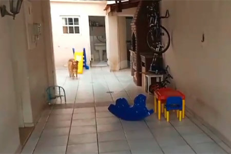 Sobrado à venda com 3 quartos, sendo 2 suítes, em Planalto Paulista, São Paulo, SP