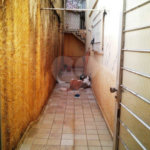 Sobrado à venda com 3 quartos, sendo 1 suíte, em Vila Paiva, São Paulo, SP
