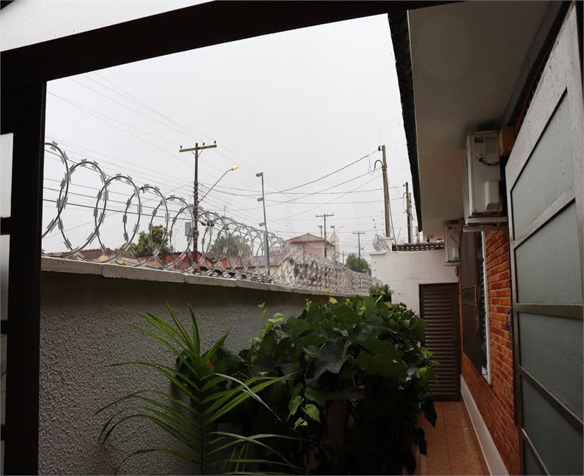 Oportunidade Única na Vila Prado