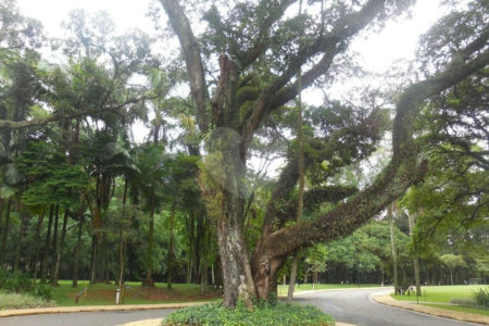 Terreno à venda em Alto da Boa Vista, São Paulo, SP