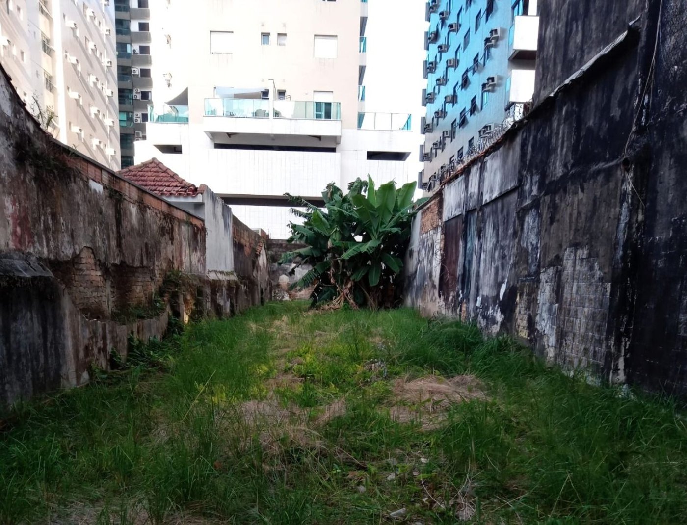 Terreno para alugar, 325 m² por R$ 14.356,00/mês - José Menino - Santos/SP