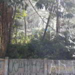 Terreno à venda ou para alugar em Vila Andrade, São Paulo, SP
