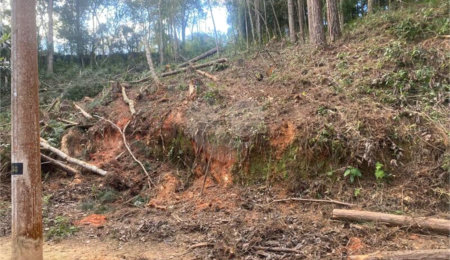 Terreno à venda no Centro (mailasqui), São Roque, SP