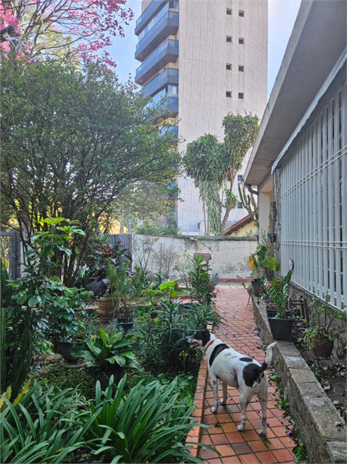 Casa à venda com 5 quartos em Mandaqui, São Paulo, SP