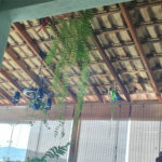 Cobertura à venda com 2 quartos em Jaraguá, São Paulo, SP