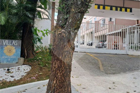 Casa à venda com 4 quartos, sendo 1 suíte,  em Vila São Silvestre, São Paulo, SP