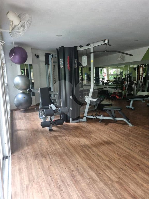 Cobertura à venda ou para alugar com 5 quartos, sendo 2 suítes, em Alto da Boa Vista, São Paulo, SP