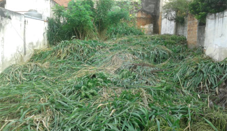 Terreno à venda em Imirim, São Paulo, SP