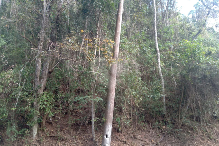 Terreno à venda no condomínio Sausalito, Mairiporã - SP