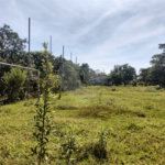 Terreno à venda em Campestre, Piracicaba, SP