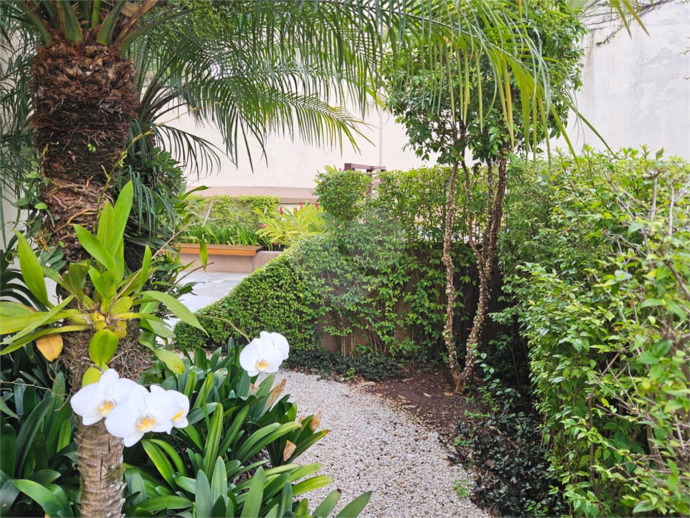 Apartamento à venda com 3 quartos, sendo 2 suítes, em Jardim Ampliação, São Paulo, SP