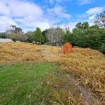 Terreno à venda em Portal da Figueira, Itapetininga, SP