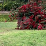 Sítio à venda ou para alugar com 3 suítes em Parque Residencial Indaiá, Indaiatuba, SP