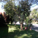 Casa à venda com 4 suítes no condomínio Jardim das Azaléias, São Paulo - SP