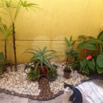 Sobrado à venda com 3 suítes em Vila Mazzei, São Paulo, SP