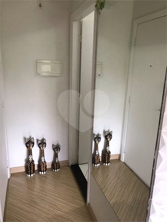 Apartamento à venda com 3 quartos em Vila Nova Cachoeirinha, São Paulo, SP