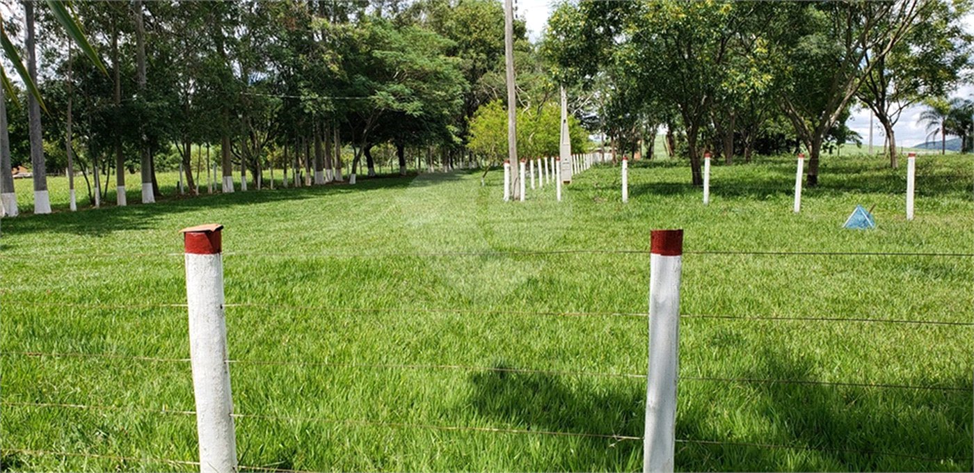 Sitio para venda.