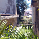 Casa à venda com 5 quartos em Imirim, São Paulo, SP