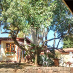 Casa à venda com 3 quartos, sendo 1 suíte, em Roseira, Mairiporã, SP