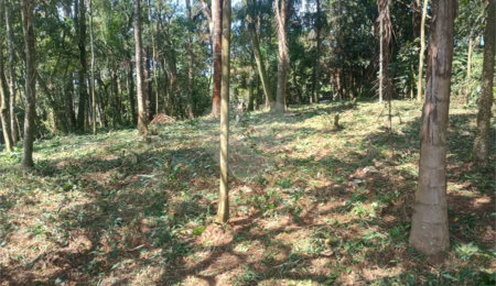 Terreno à venda no condomínio Jardim da Montanha I, Mairiporã - SP