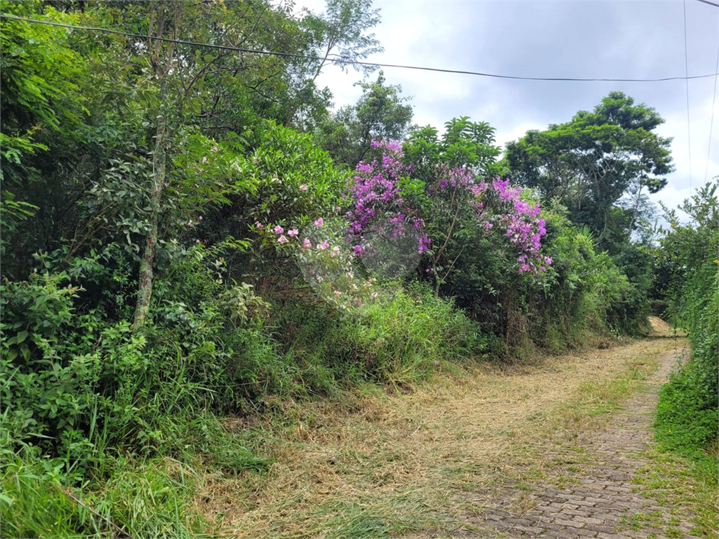 Terreno à venda em Serra da Cantareira, Mairiporã, SP