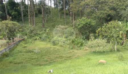 Terreno à venda em Chácara Fernão Dias, Bragança Paulista, SP