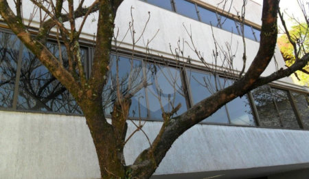 Sobrado à venda com 5 quartos, sendo 4 suítes,  em Tucuruvi, São Paulo, SP