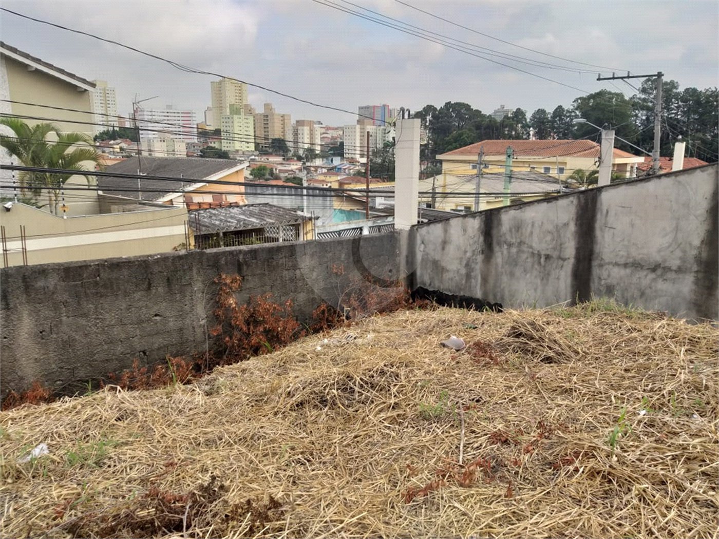 Terreno à venda com 1 suíte em Tucuruvi, São Paulo, SP