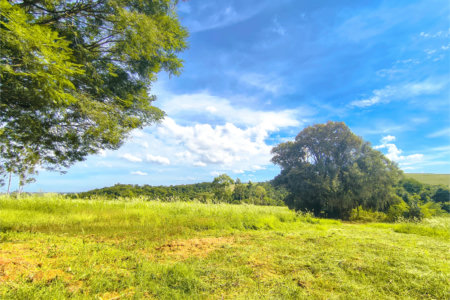 Sítio à venda com 3 quartos em Campo de Boituva, Boituva, SP