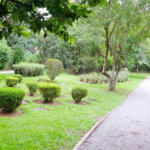 Terreno à venda em Jardim São Vicente, Cotia, SP