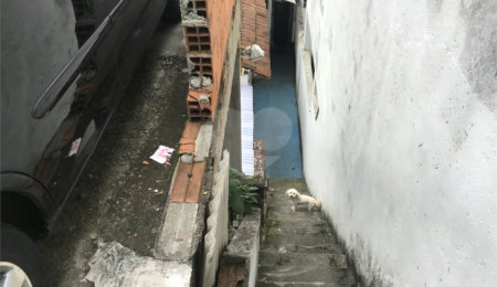 Casa à venda com 6 quartos em Água Fria, São Paulo, SP