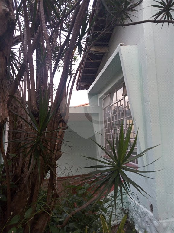 Terreno à venda com 2 quartos em Jaçanã, São Paulo, SP