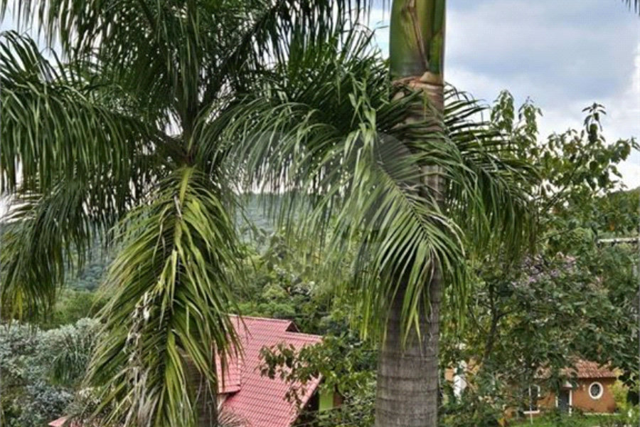 Casa à venda com 3 quartos, sendo 1 suíte, no condomínio Clube de Campo Fazenda Tabarã, Mairiporã - SP