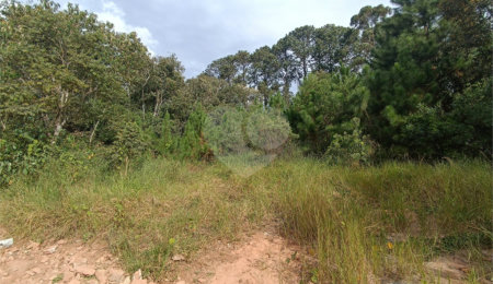 Terreno à venda no condomínio Residencial Sitio da Hortensias, São Roque - SP
