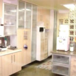 Apartamento à venda ou para alugar com 4 quartos, sendo 3 suítes, em Jardim Vitória Régia, São Paulo, SP