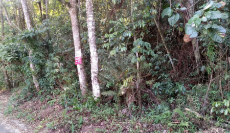 Terreno à venda em Serra da Cantareira, Mairiporã, SP