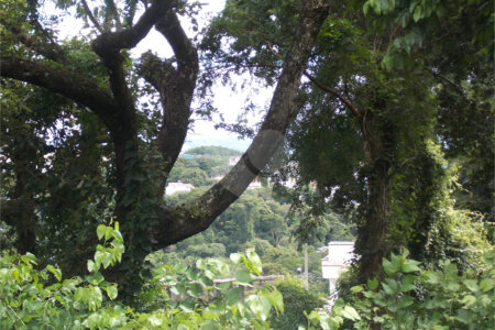 Terreno à venda em Jardim Paulista, Atibaia, SP